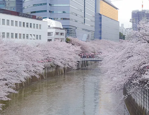 沿革はこちらからご覧いただけます
